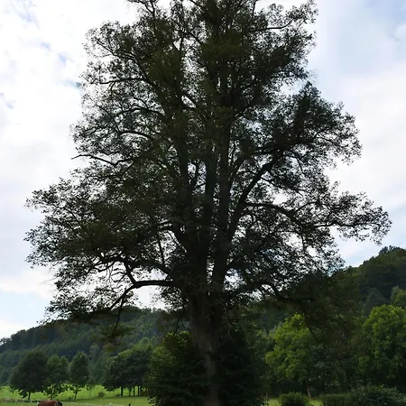 Ferienhaus Gut Wenne *