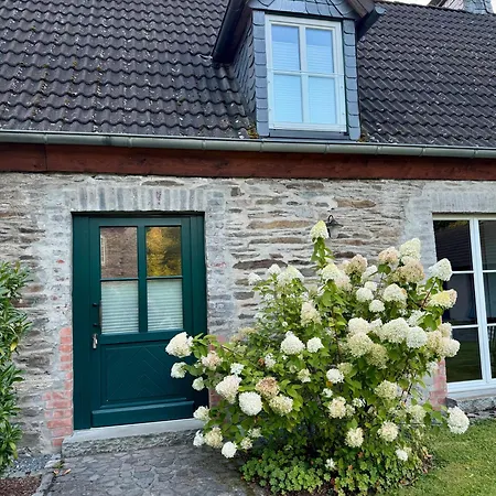 Ferienhaus Gut Wenne