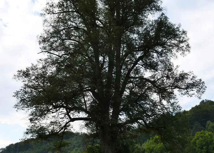 Сasa de vacaciones Gut Wenne *